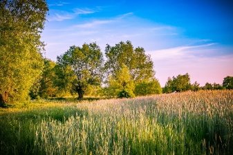 Gmina Cyców