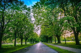 Gmina Uścimów
